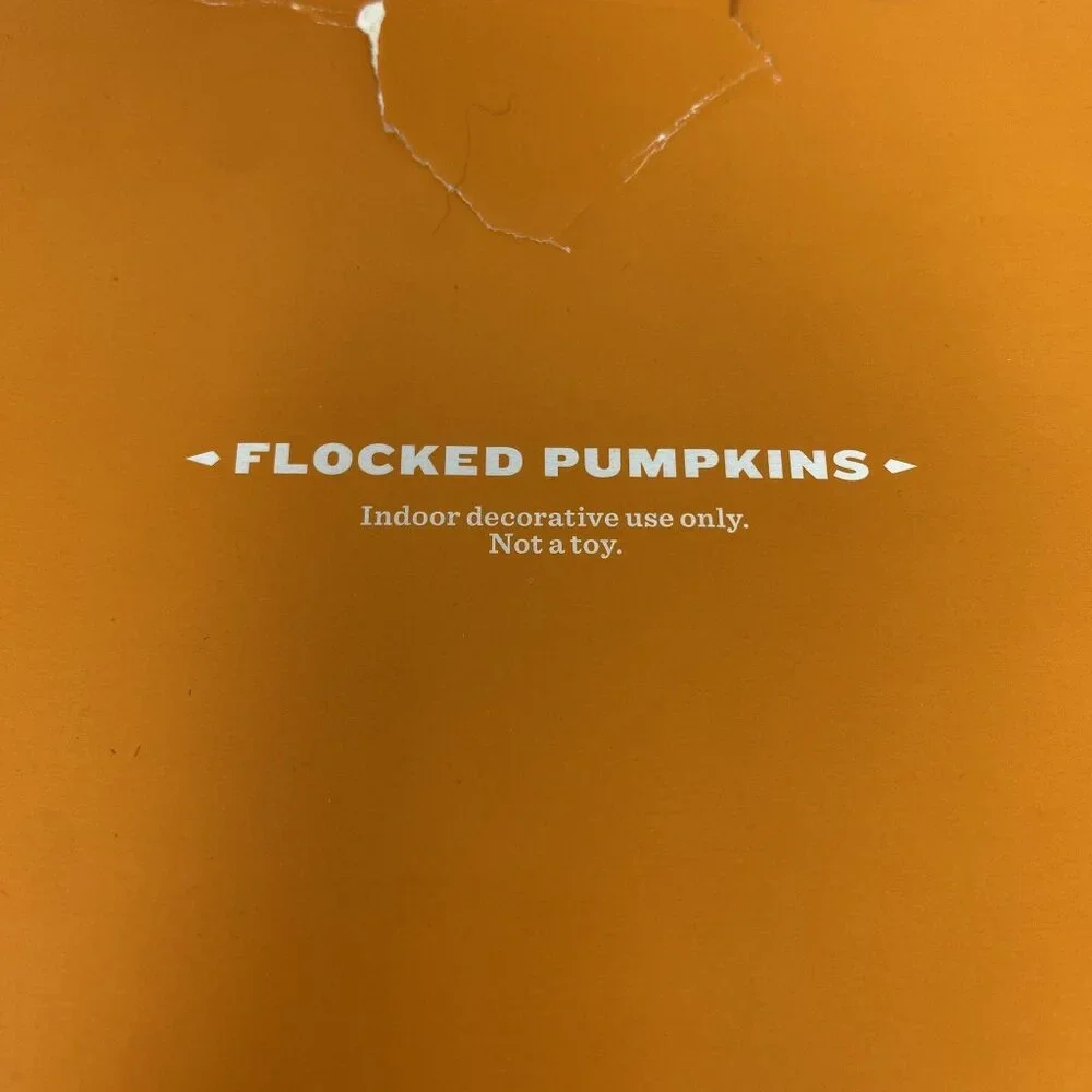 Target 8ct Flocked Mini Pumpkins Halloween Hyde & EEK! Boutique™Tabletop Decor